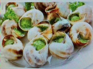 Escargots de Bourgogne 4 dzs