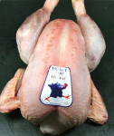 Coq prêt à cuire de 2,8 à 3,5 kgs