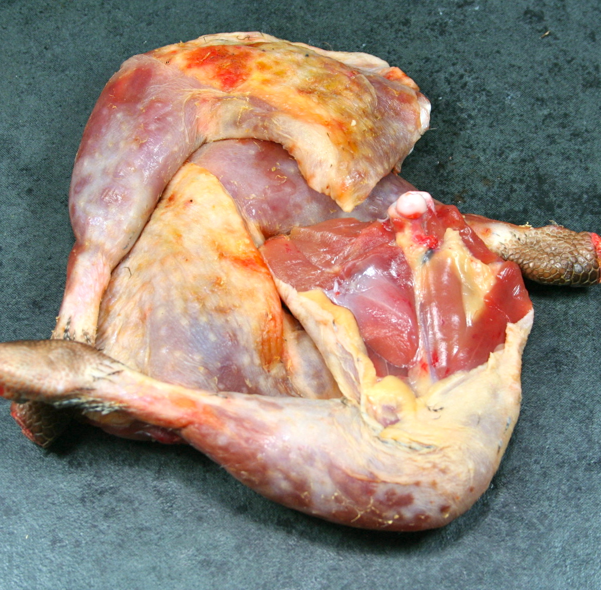 Cuisse de pintade
